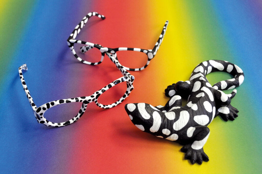 Daniel Bidelnica - premaľby objektov